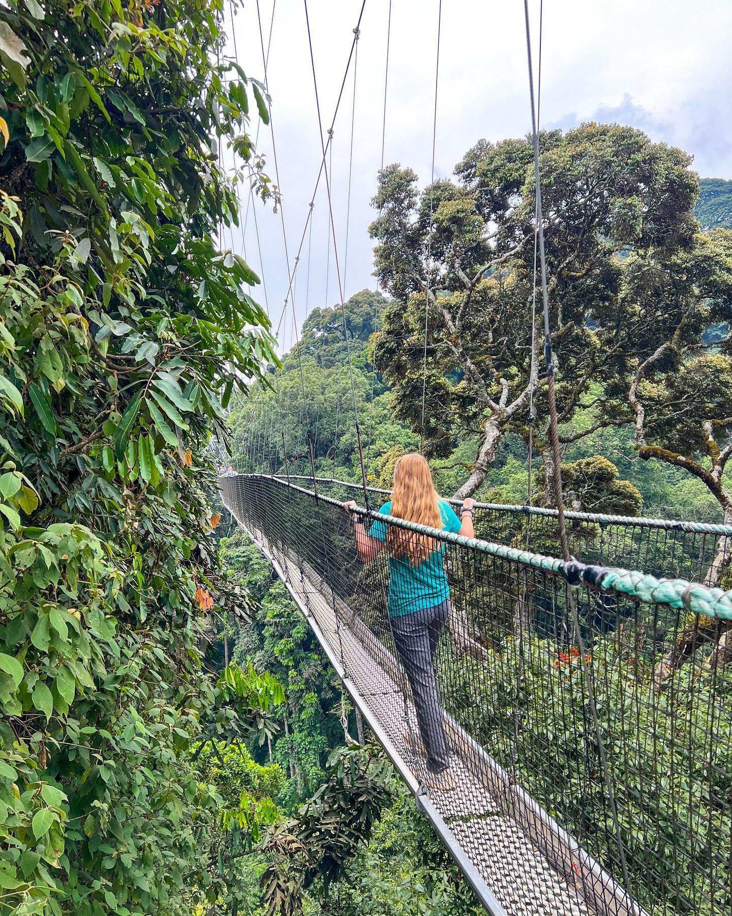Nyungwe Forest National Park