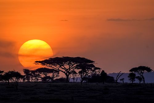 Serengeti National Park