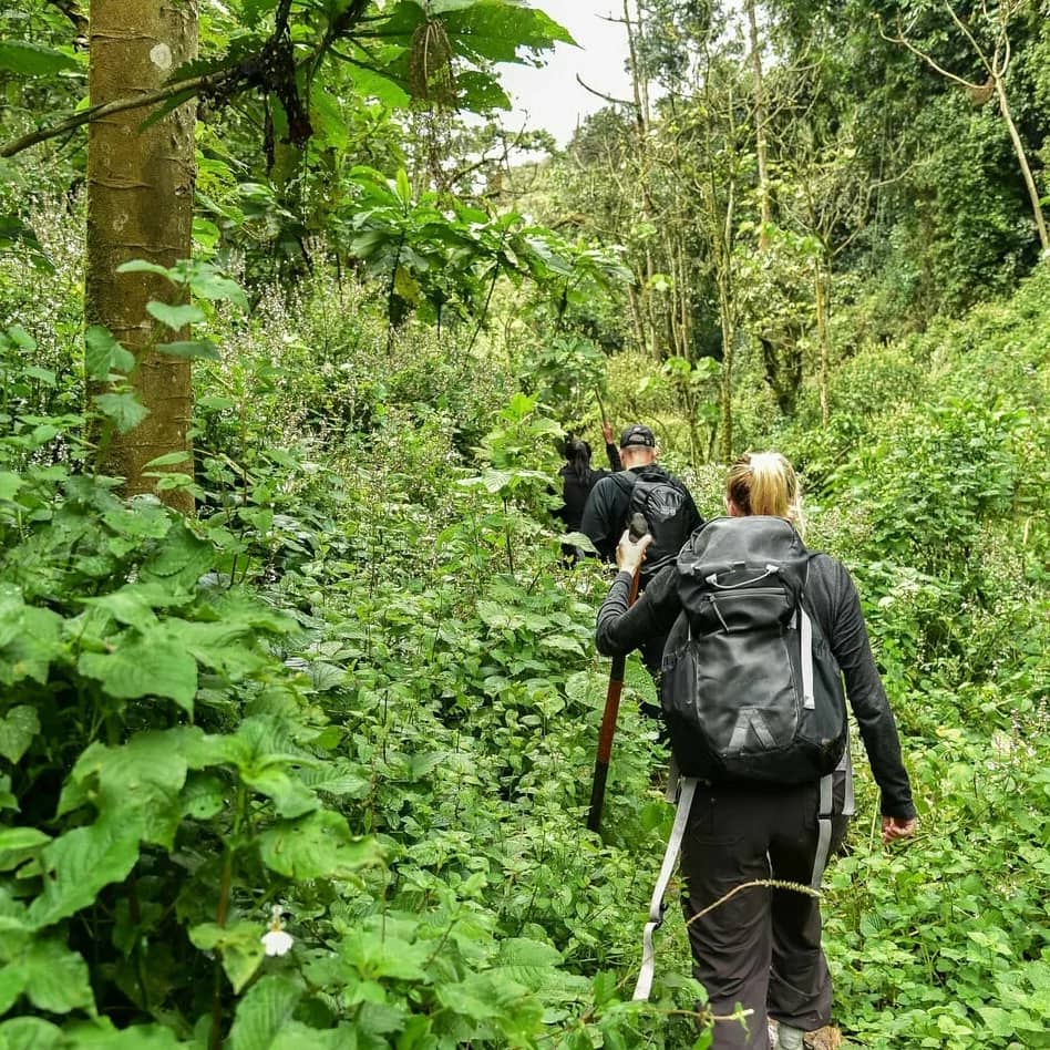 Akagera National Park