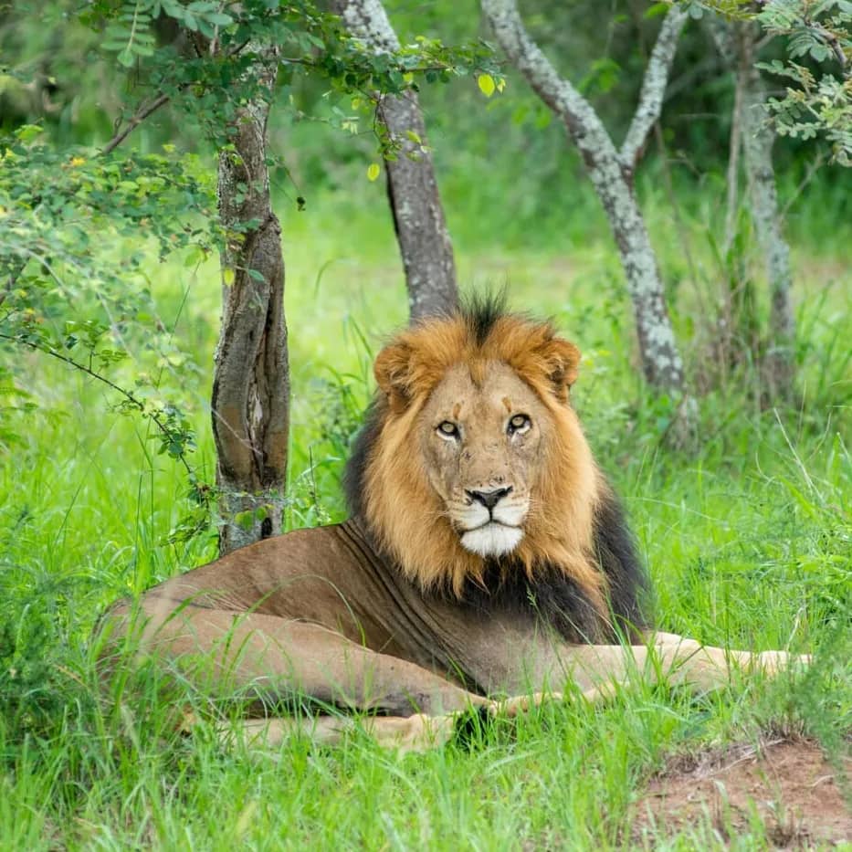 Akagera National Park