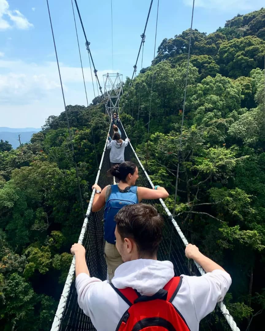 Nyungwe Forest