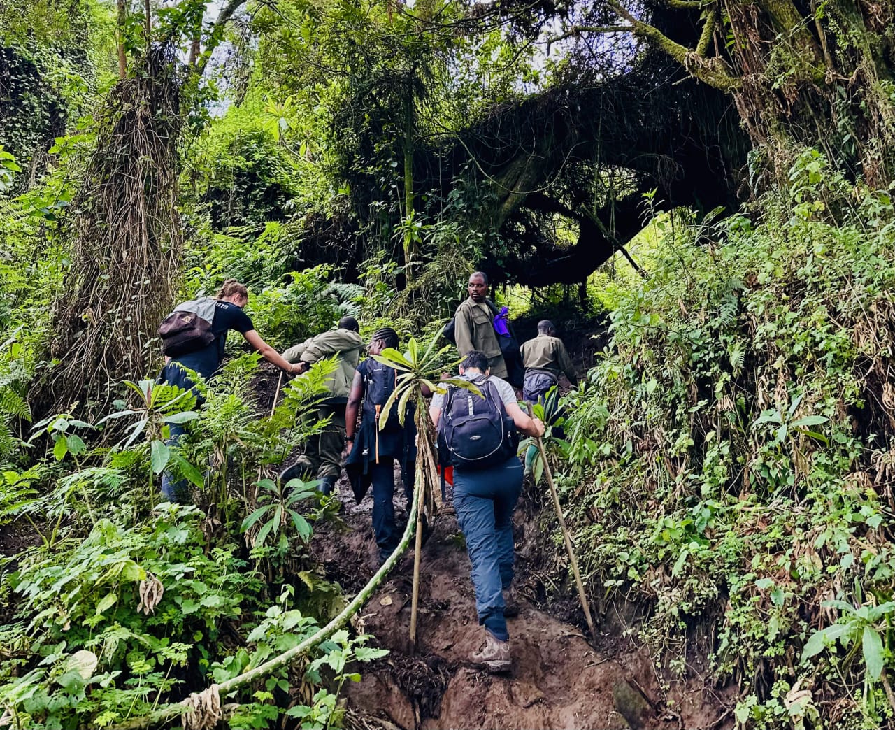 Hiking the Highest Mountains