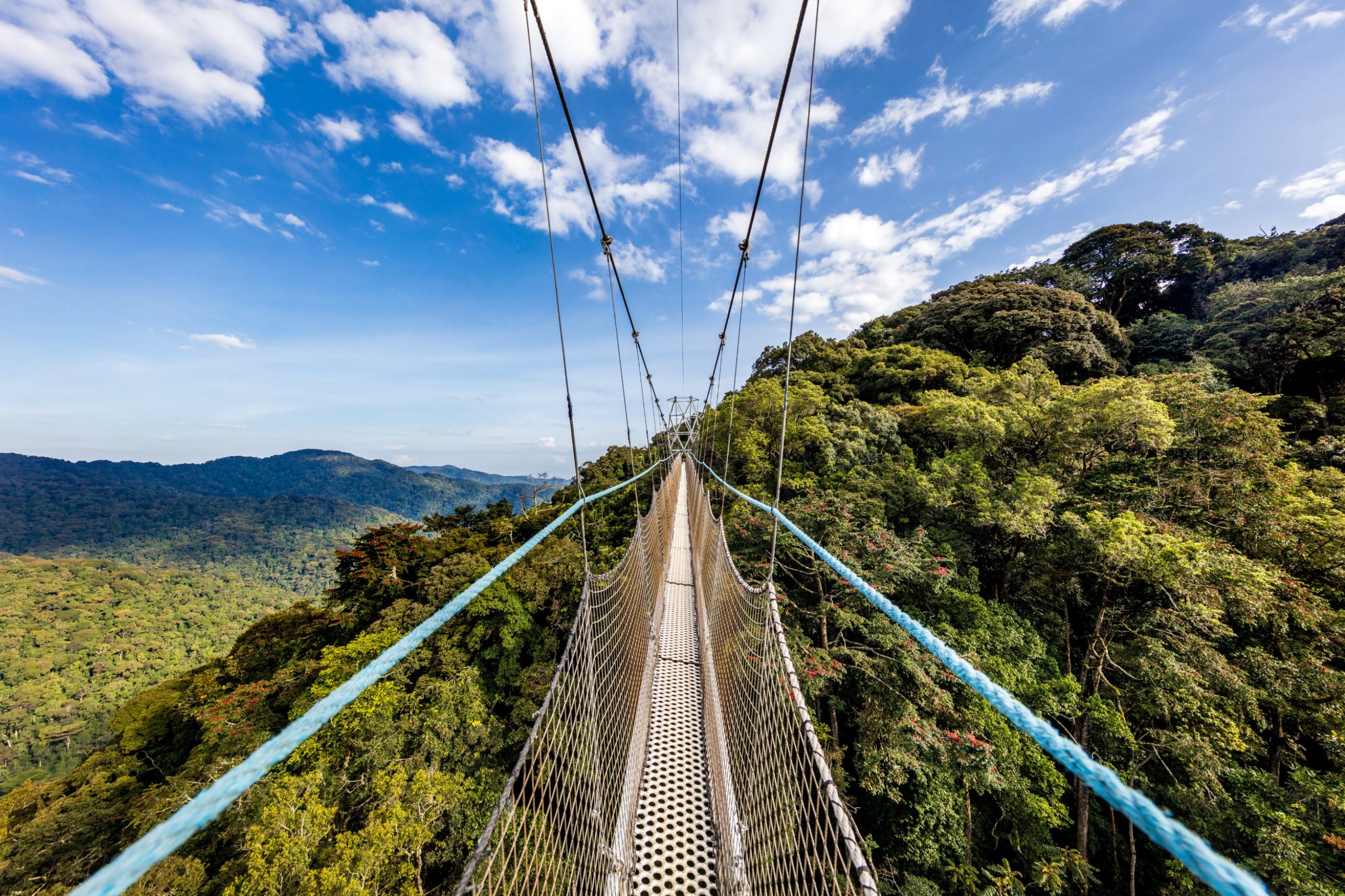 Kibira National Park
