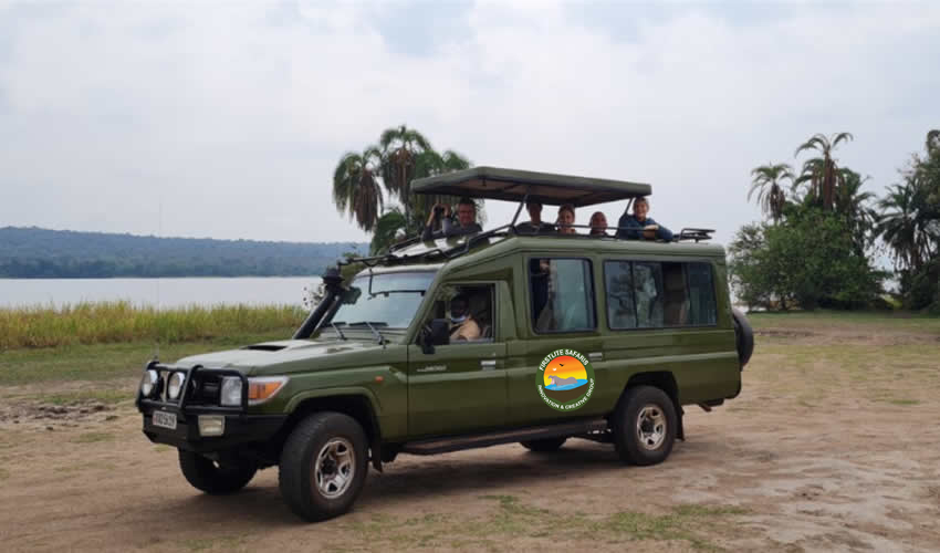 Hire and rental car for safaris and travel